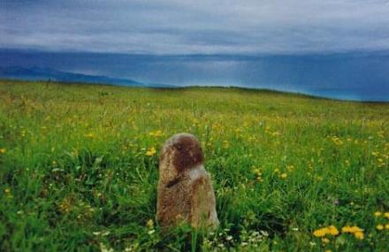 伊犁草原石人于岩画