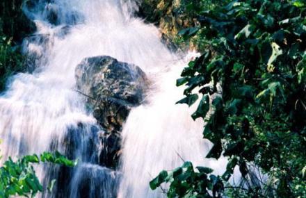 济南药乡国家森林公园