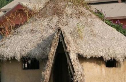 烟台大黑山北庄遗址