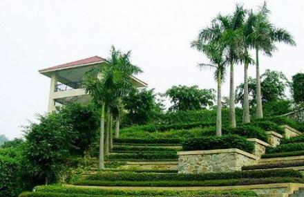 广州万顷沙原野庄园