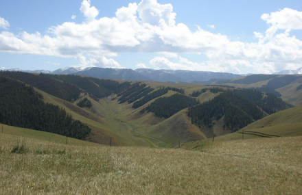 海西巴隆国际狩猎场