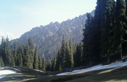 乌鲁木齐哈熊沟