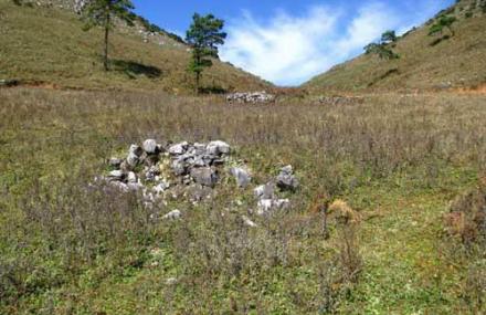 昆明梅树村自然保护区