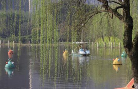 温州马鞍池公园