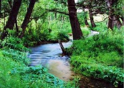 保定石佛国家森林公园