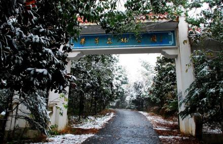 黄冈毕升森林公园