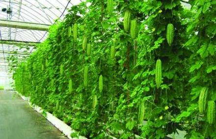 北海北生绿色产业科技园