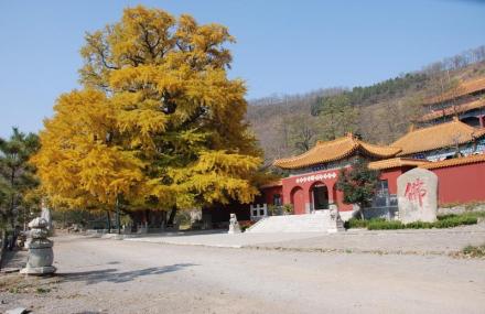 潍坊公冶长书院