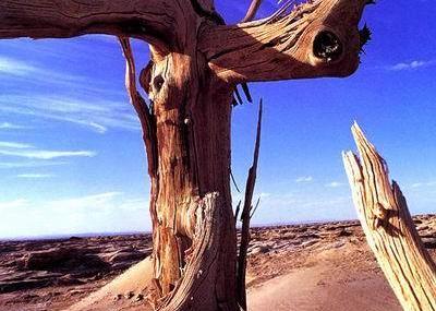 巴音郭楞楼兰古城遗址