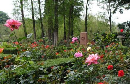 广州法兰克福玫瑰园