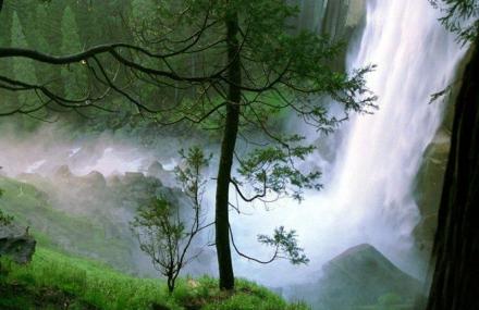 昆明小白龙森林公园