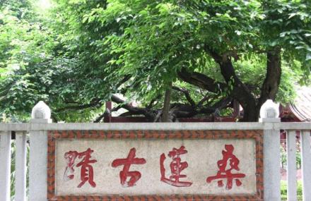 泉州开元寺桑莲古迹