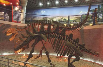 北京古爬行动物厅