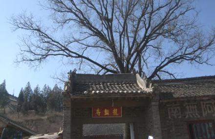 金华龙盘寺