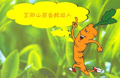 烟台茶园