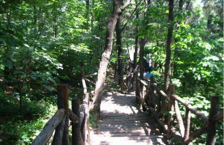 临沂蒙山森林公园