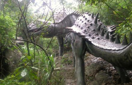 厦门野山谷