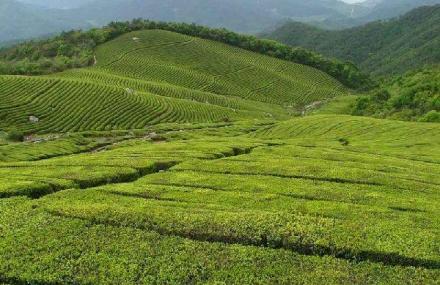 安康三道门森林公园