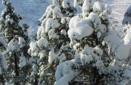 济南卧虎山滑雪场