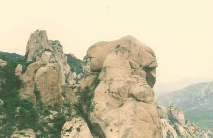 舟山黄龙元宝石