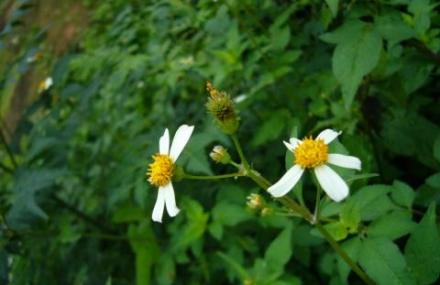 南宁天雹水库水利风景区
