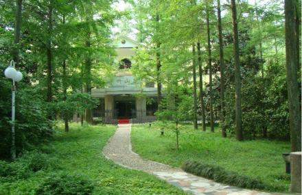 杭州东明山森林公园