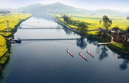 亳州第六届重庆潼南陈抟故里菜花节