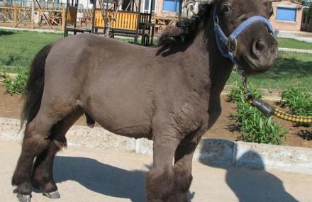 北京瑞尔动物园