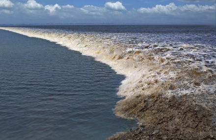 杭州萧山钱江观潮城