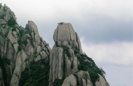 黄山松鼠跳天都