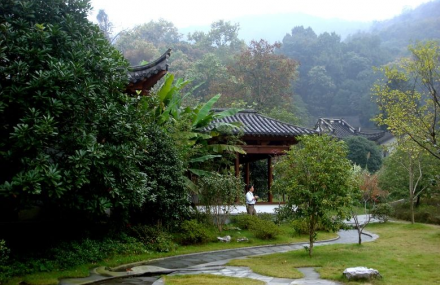 杭州龙井八景