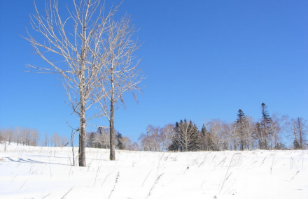 哈尔滨东升林场