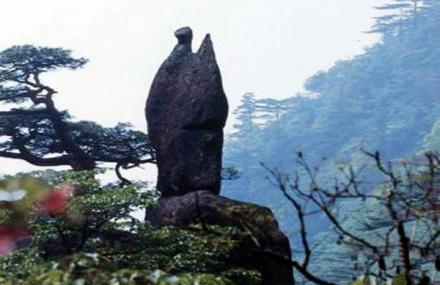 黄山仙人观榜