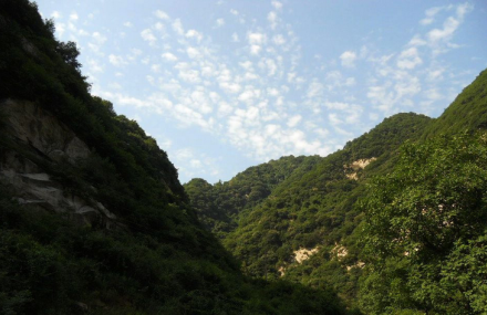 西安大瓢沟