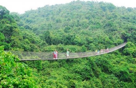 三亚过江龙索桥