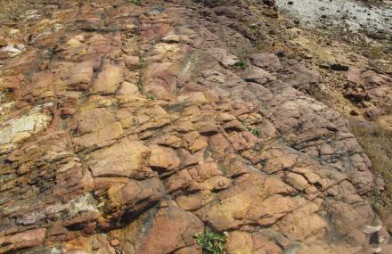 绍兴火山凝灰岩