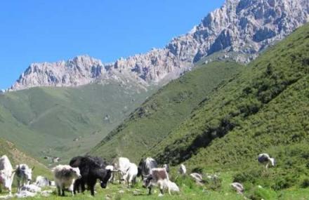 乌鲁木齐马牙山