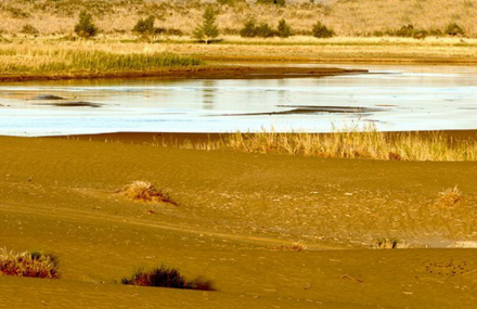 和田克里雅河达里雅博依风景河段