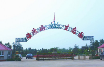 秦皇岛海浪屿农业生态园