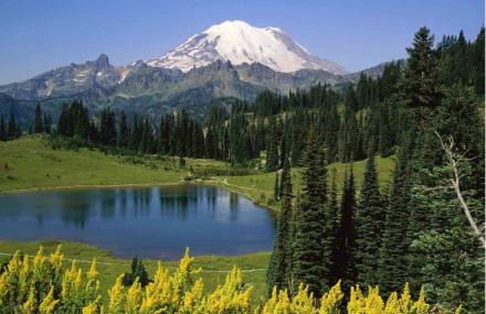 宜春九峰森林公园