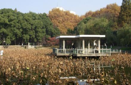 武汉华中科技大学