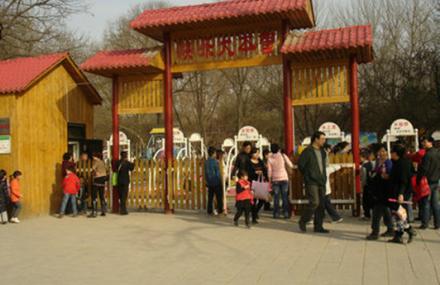 西安兴庆宫快乐大本营