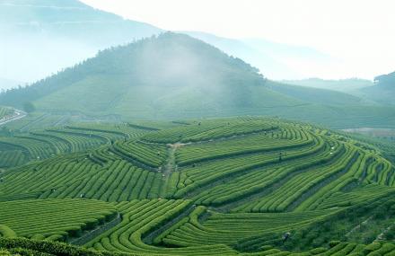 宁波福泉山景区