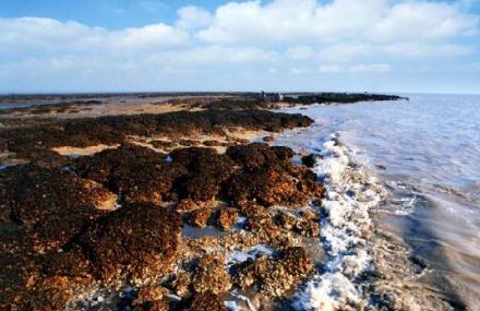 南通东灶蛎岈山