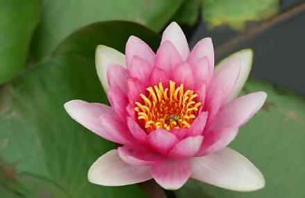 佛山立体生态园