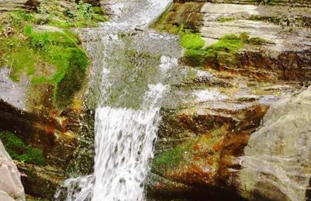 新乡神秘丹分沟