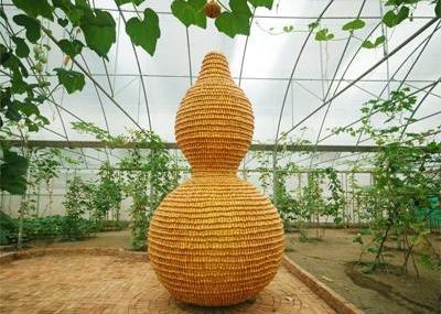 三亚奇瓜异果园