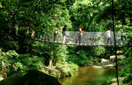 九江桃花溪漂流
