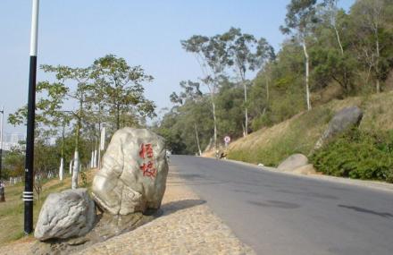厦门怪坡