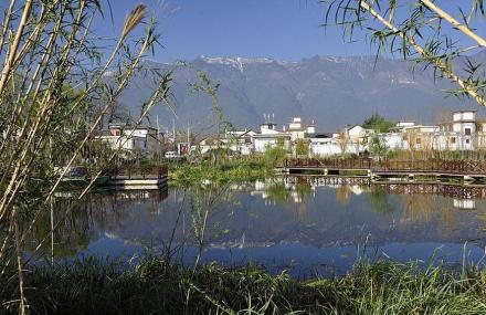 大理湖滨生态园